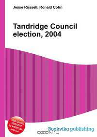 Tandridge Council election, 2004