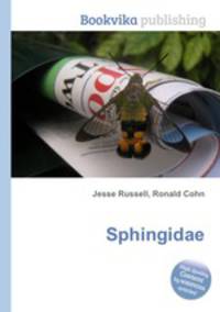Sphingidae