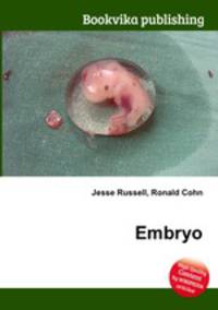 Embryo