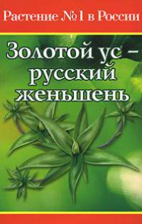Золотой ус - русский женьшень