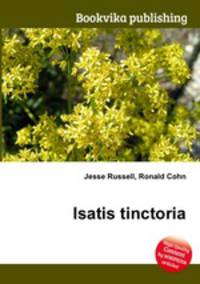 Isatis tinctoria