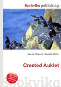 Crested Auklet