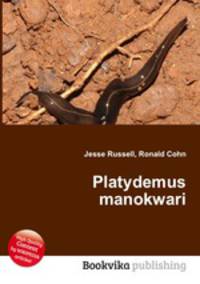 Platydemus manokwari