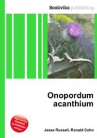 Onopordum acanthium