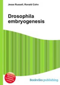 Drosophila embryogenesis