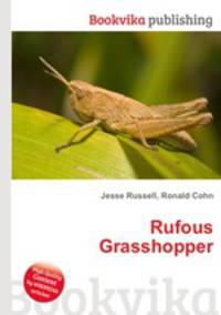 Rufous Grasshopper