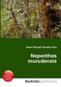 Nepenthes murudensis