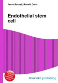 Endothelial stem cell