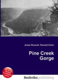 Pine Creek Gorge