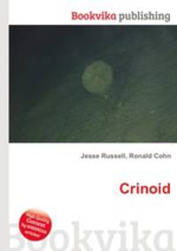 Crinoid