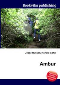 Ambur