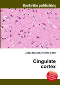 Cingulate cortex