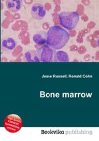 Bone marrow