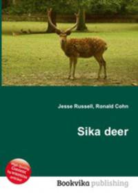 Sika deer
