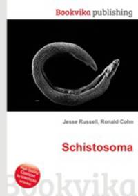 Schistosoma
