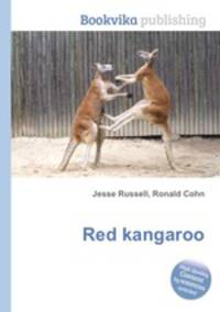 Red kangaroo