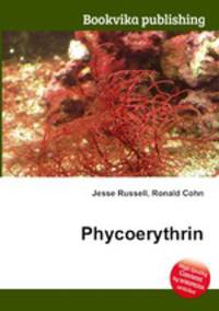 Phycoerythrin