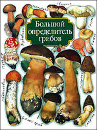 Большой определитель грибов [мяг.]