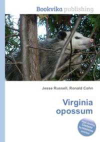 Virginia opossum