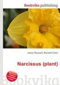 Narcissus (plant)