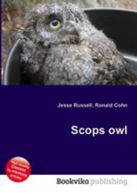 Scops owl