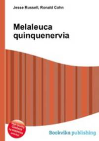 Melaleuca quinquenervia