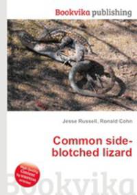 Common side-blotched lizard