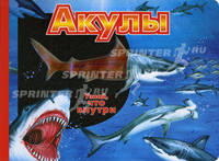 Акулы. Узнай что внутри