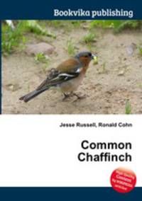 Common Chaffinch
