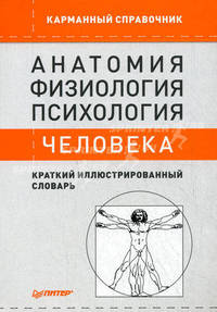 Анатомия, физиология, психология человека. Краткий иллюстрированный словарь
