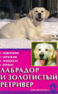 Лабрадор и золотистый ретривер