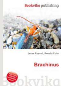 Brachinus