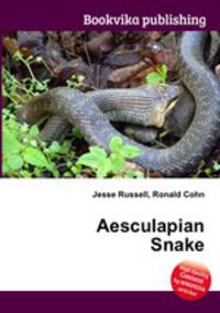 Aesculapian Snake