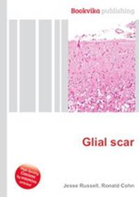 Glial scar