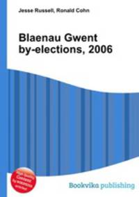 Blaenau Gwent by-elections, 2006