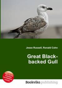 Great Black-backed Gull