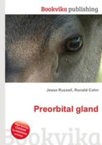 Preorbital gland