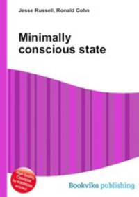 Minimally conscious state