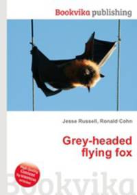 Grey-headed flying fox