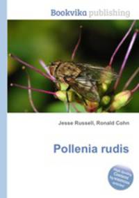 Pollenia rudis