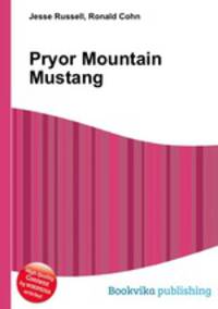 Pryor Mountain Mustang