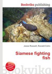 Siamese fighting fish