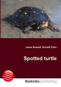 Spotted turtle