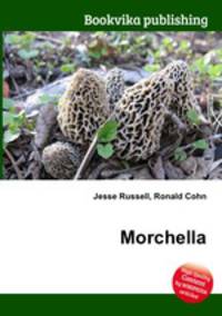 Morchella