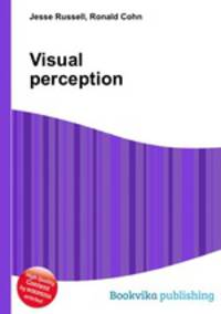 Visual perception