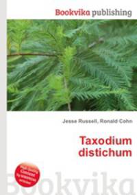 Taxodium distichum