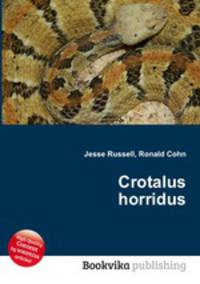 Crotalus horridus