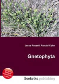 Gnetophyta