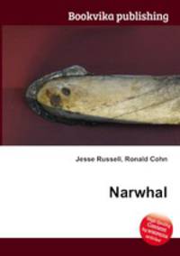 Narwhal
