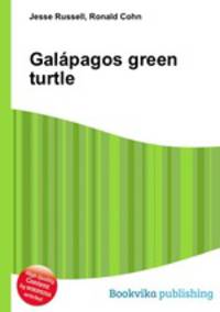 Galapagos green turtle